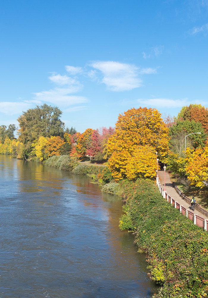 river with trees turning fall colors